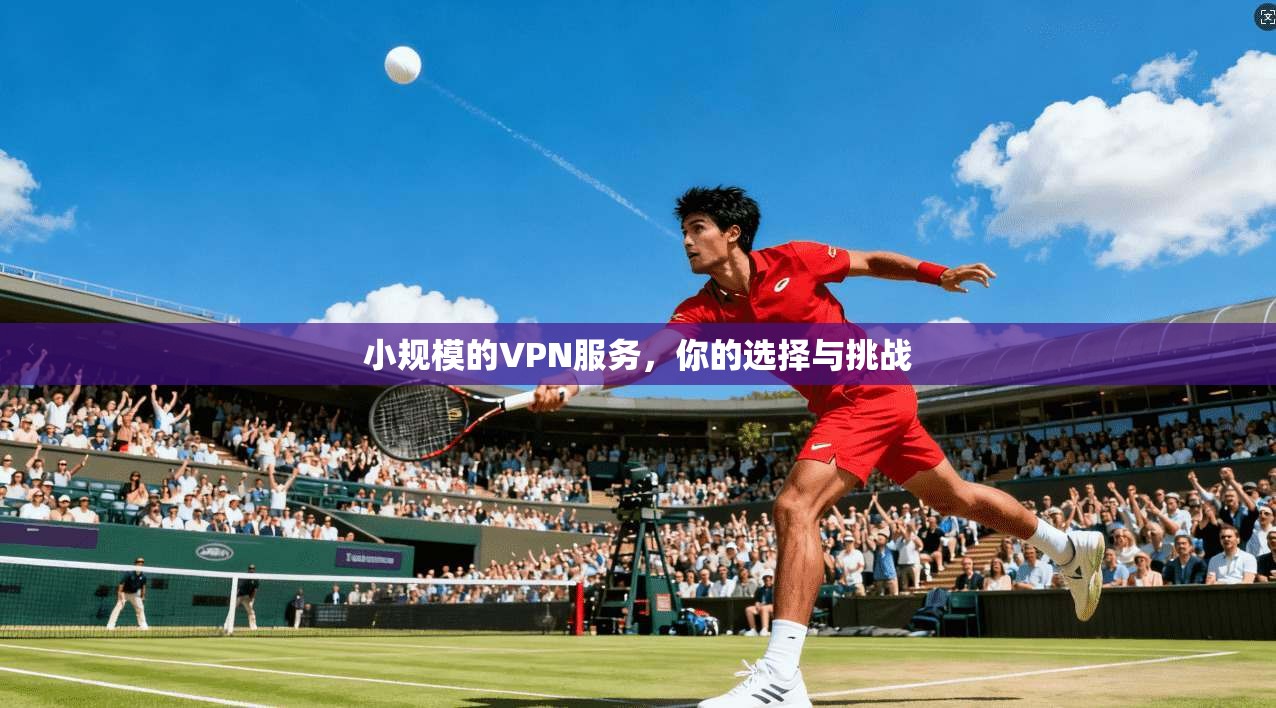小规模的VPN服务，你的选择与挑战