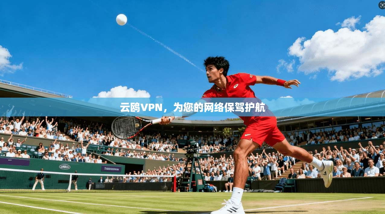 云鸥VPN，为您的网络保驾护航