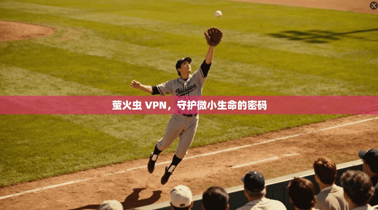 萤火虫 VPN，守护微小生命的密码