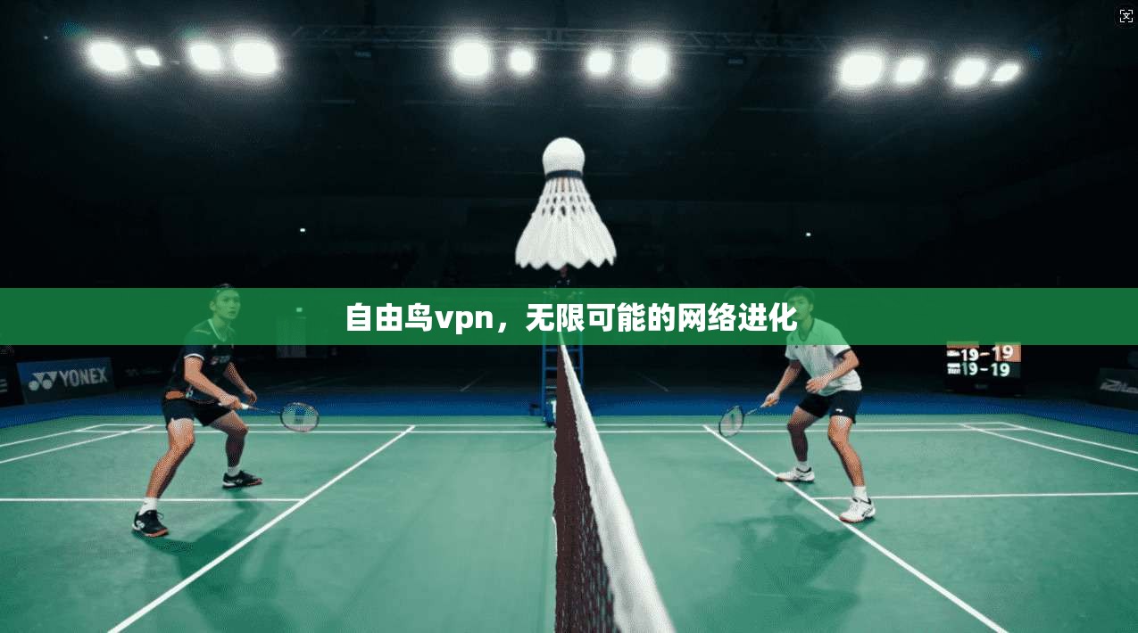 自由鸟vpn，无限可能的网络进化