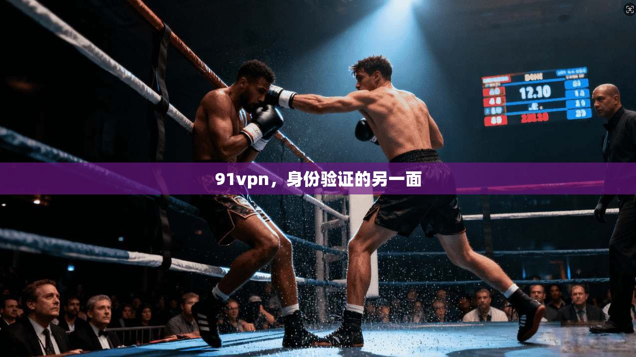 91vpn，身份验证的另一面
