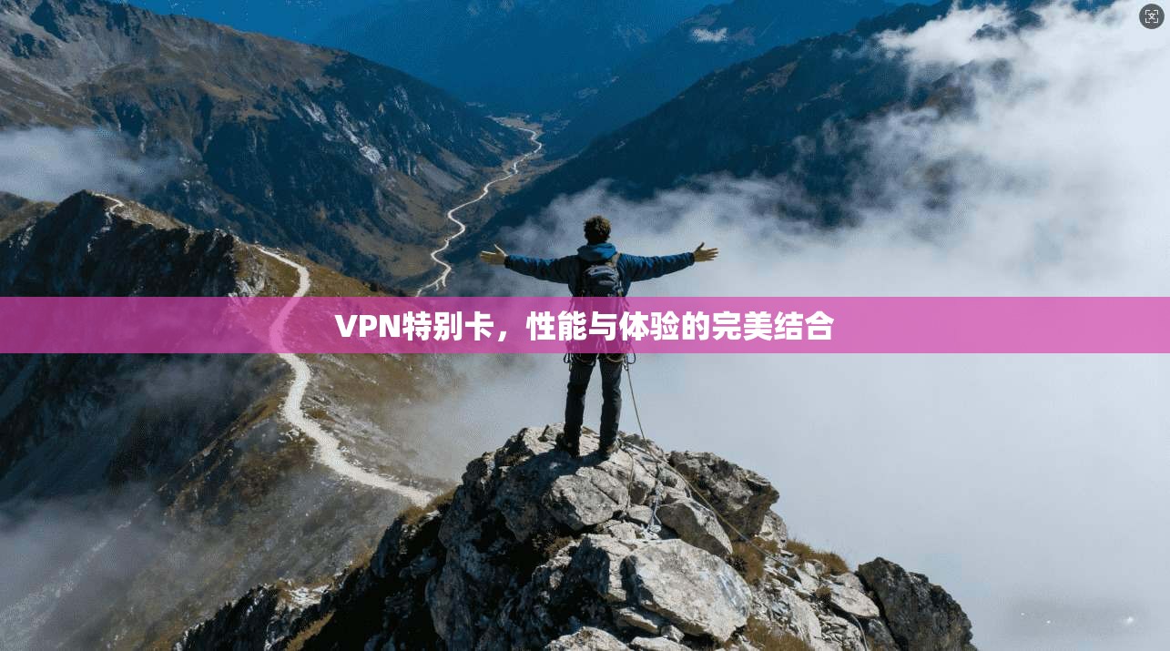 VPN特别卡，性能与体验的完美结合