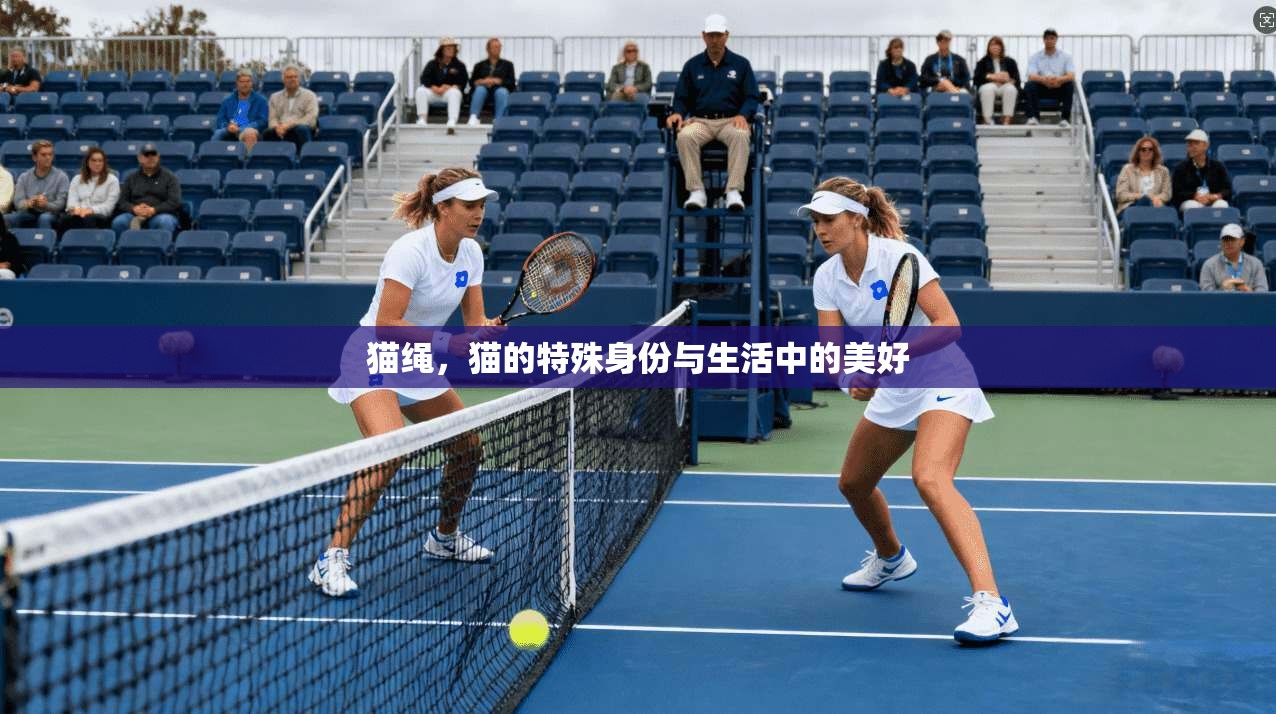 猫绳，猫的特殊身份与生活中的美好