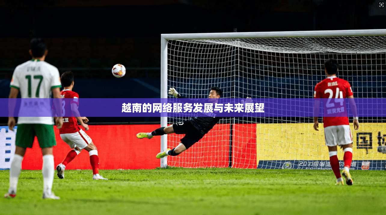 越南的网络服务发展与未来展望