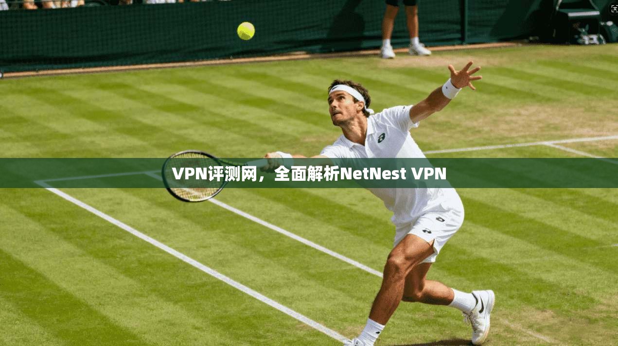 VPN评测网，全面解析NetNest VPN