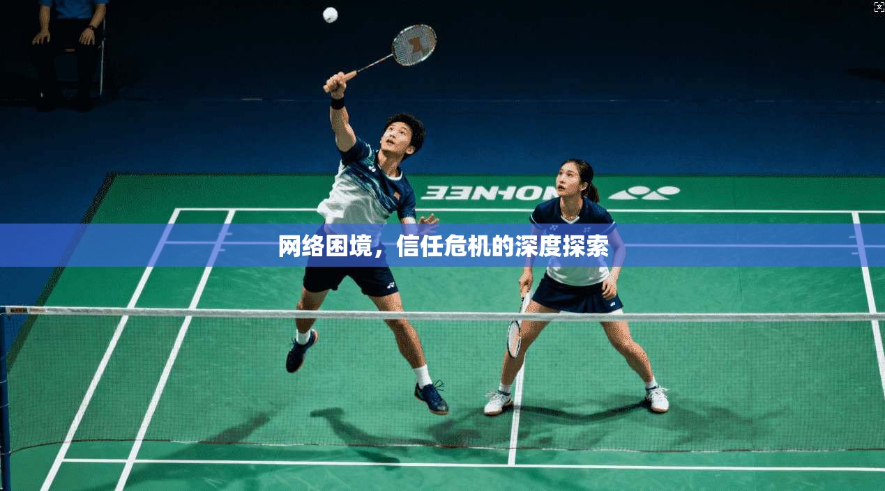网络困境，信任危机的深度探索