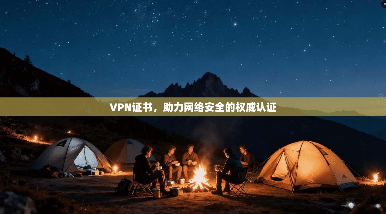 VPN证书，助力网络安全的权威认证