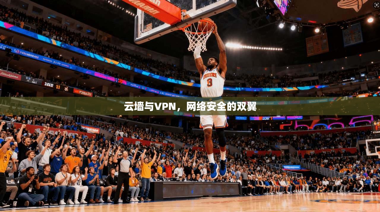 云墙与VPN，网络安全的双翼
