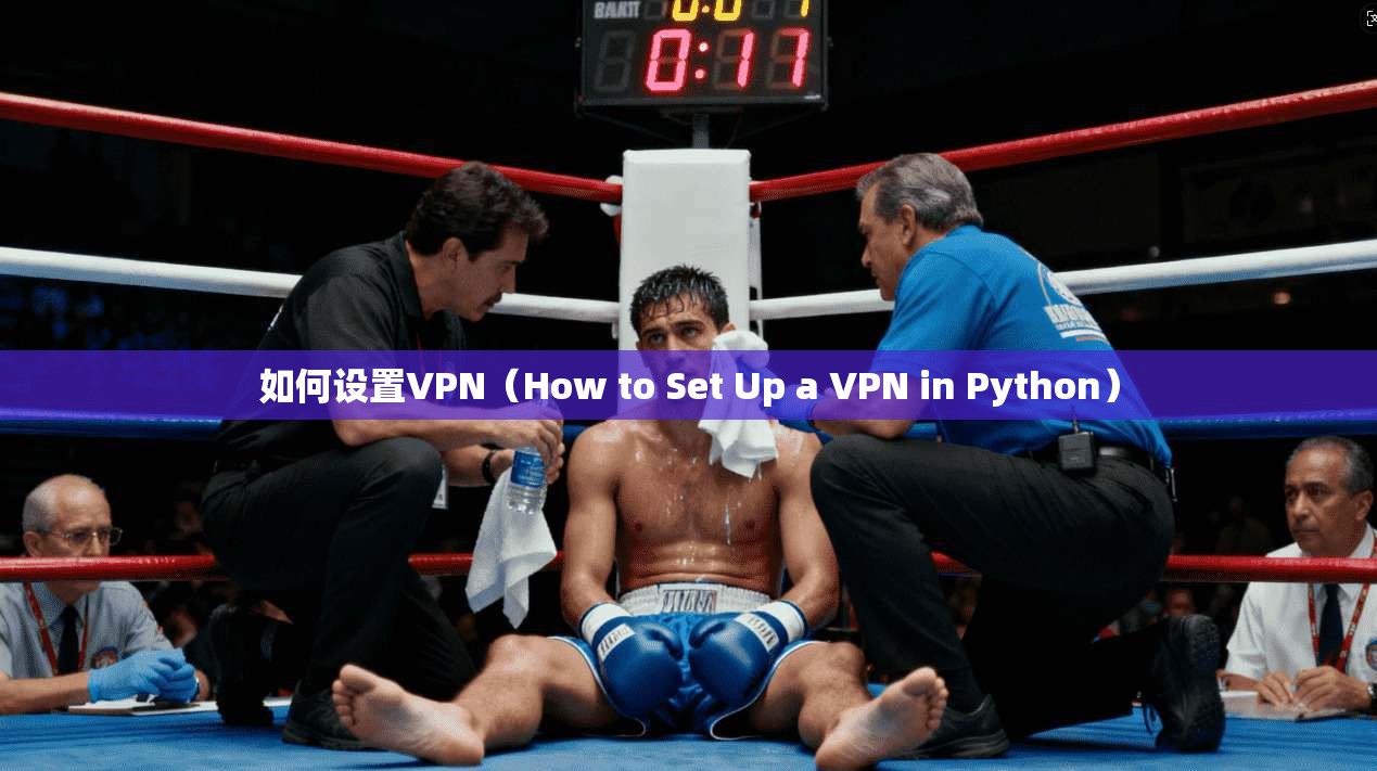 如何设置VPN（How to Set Up a VPN in Python）