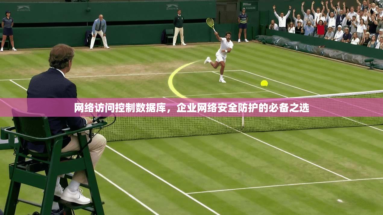 网络访问控制数据库，企业网络安全防护的必备之选