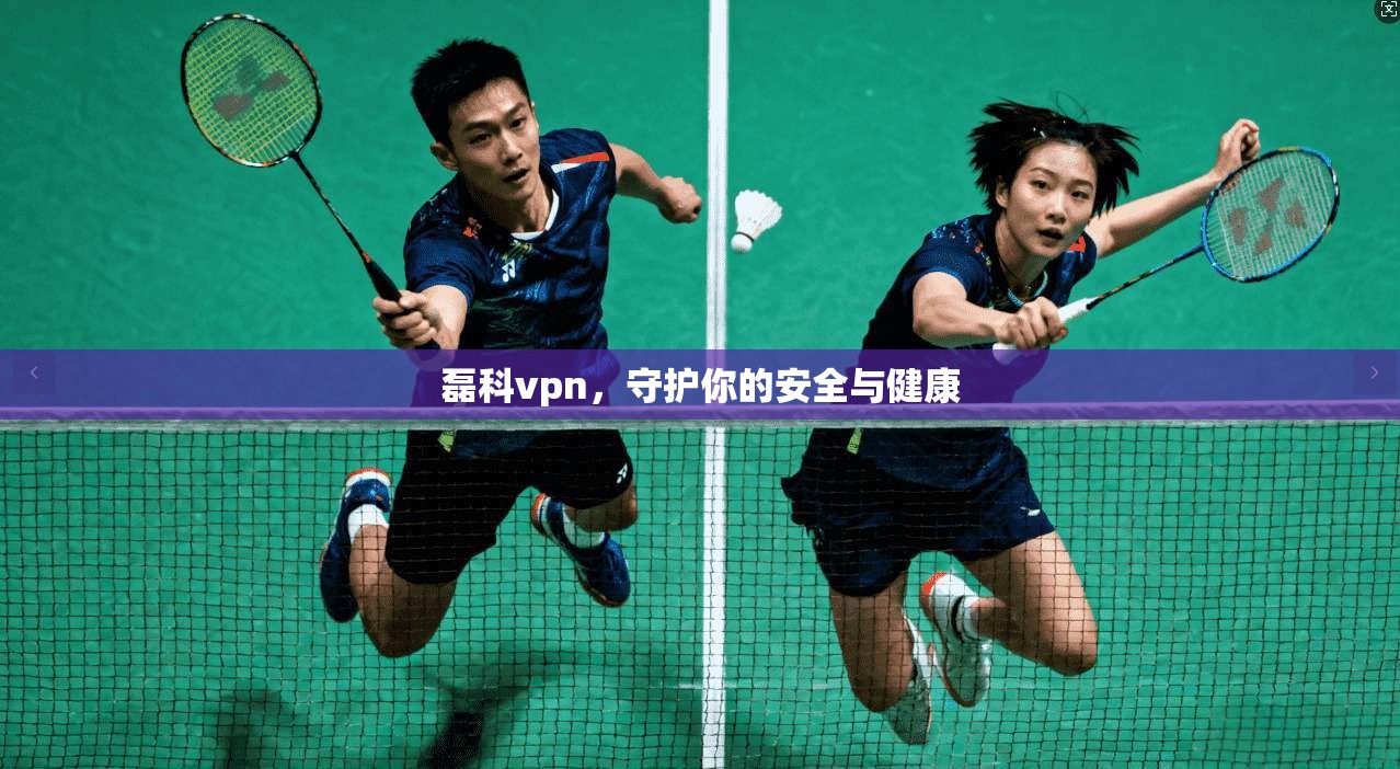 磊科vpn,守护你的安全与健康