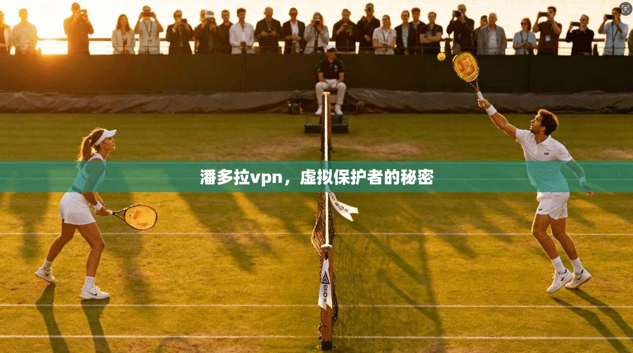 潘多拉vpn，虚拟保护者的秘密