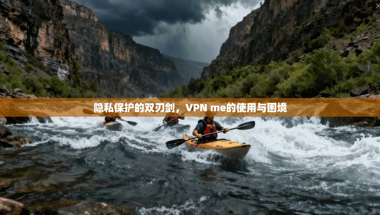 隐私保护的双刃剑，VPN me的使用与困境