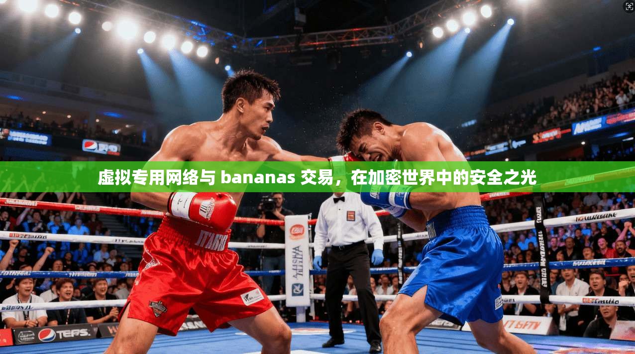 虚拟专用网络与 bananas 交易,在加密世界中的安全之光