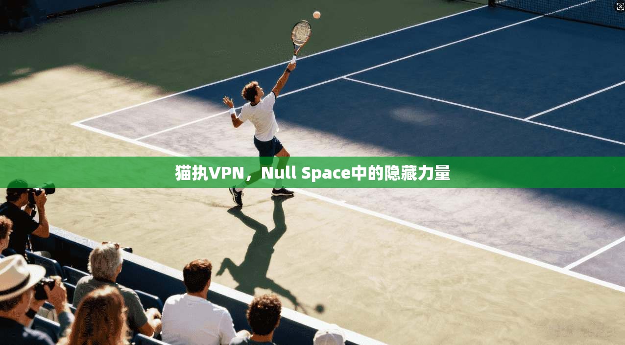 猫执VPN，Null Space中的隐藏力量