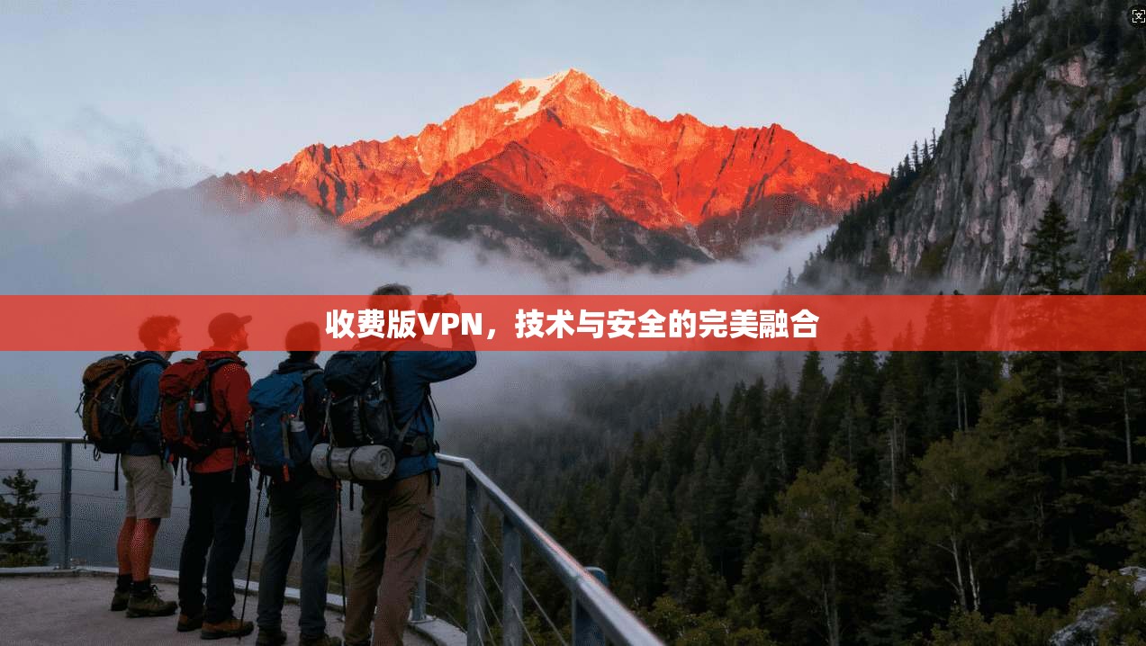 收费版VPN,技术与安全的完美融合