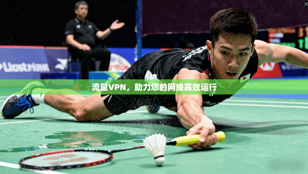 流量VPN，助力您的网络高效运行
