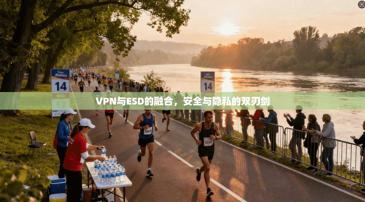 VPN与ESD的融合,安全与隐私的双刃剑