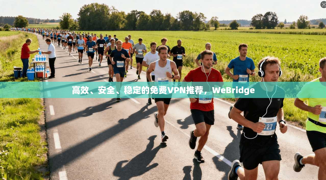 高效、安全、稳定的免费VPN推荐,WeBridge