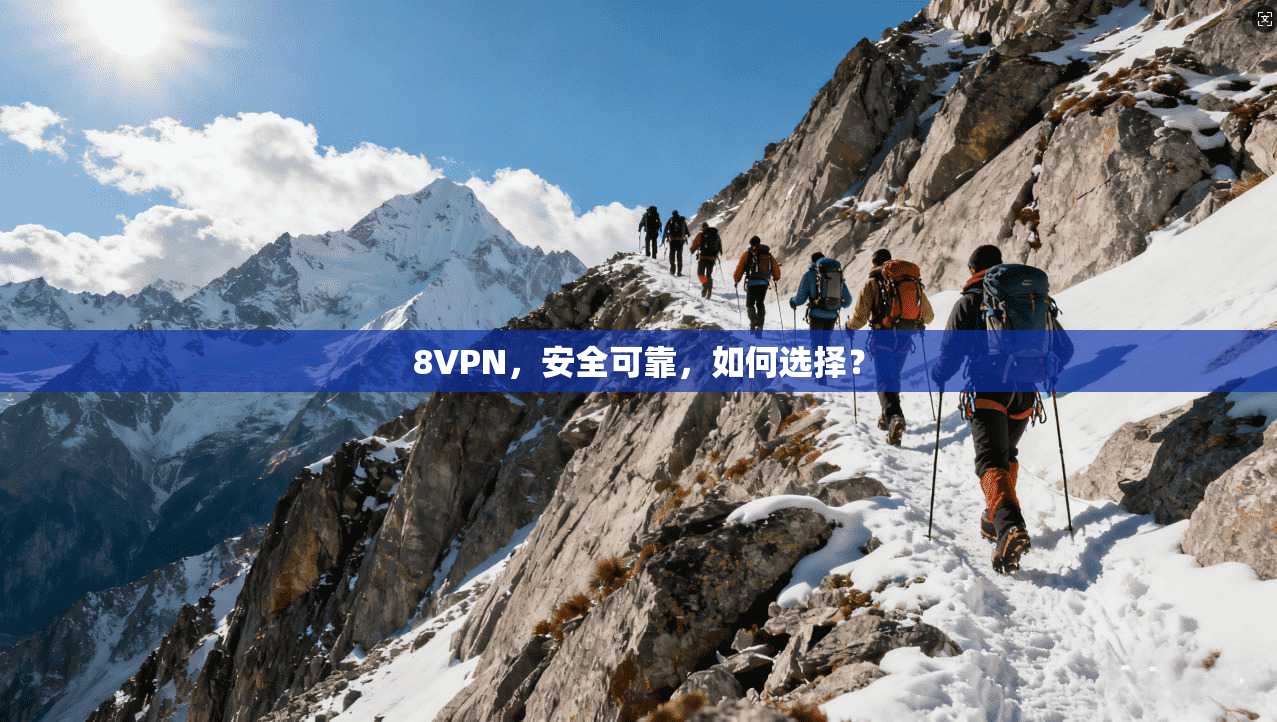 8VPN，安全可靠，如何选择？