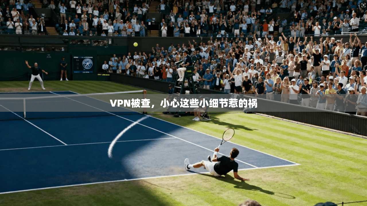 VPN被查，小心这些小细节惹的祸