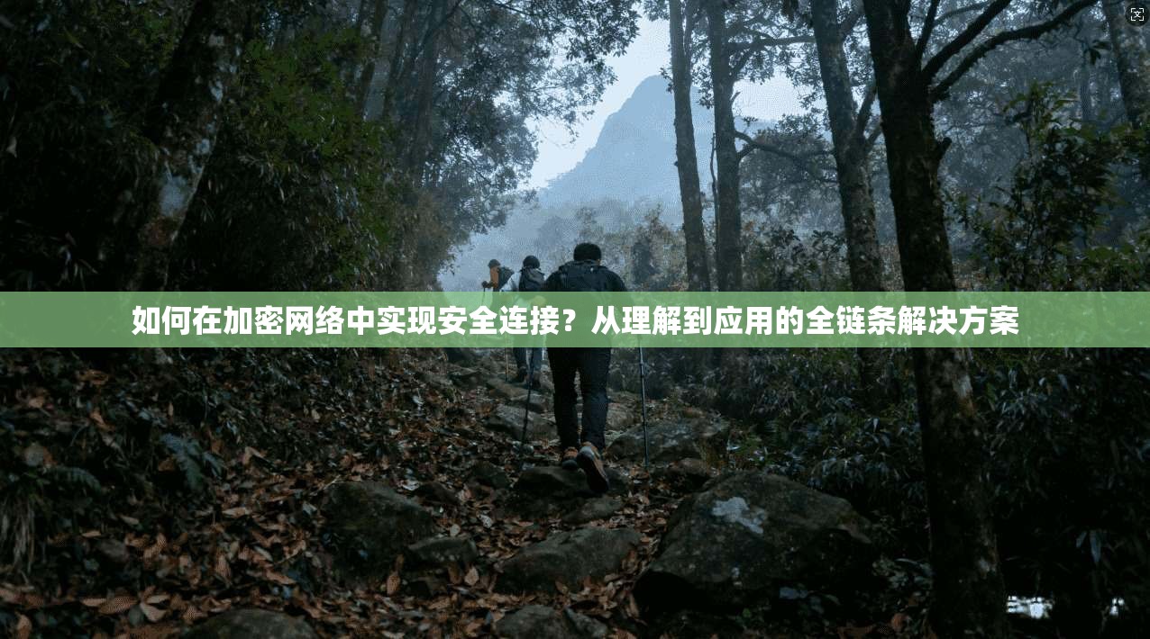 如何在加密网络中实现安全连接？从理解到应用的全链条解决方案