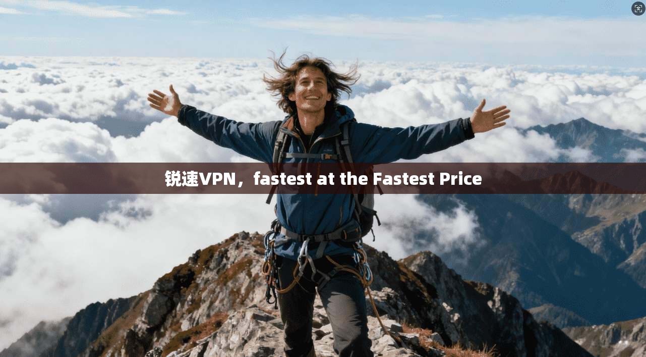 锐速VPN，fastest at the Fastest Price