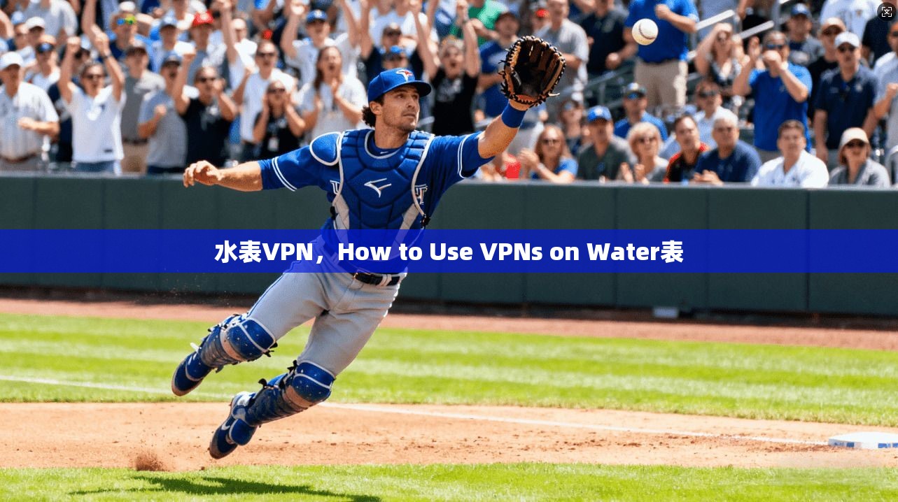 水表VPN，How to Use VPNs on Water表