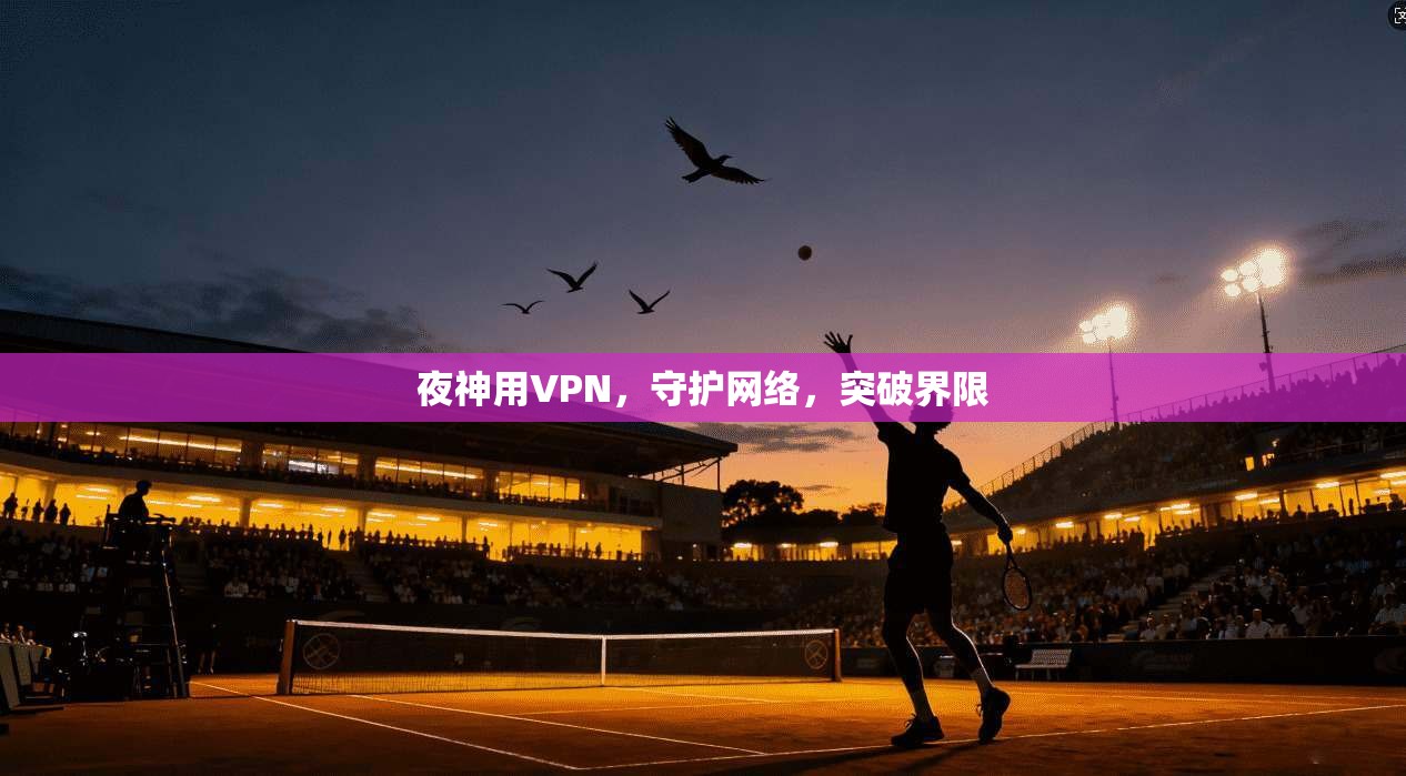 夜神用VPN,守护网络,突破界限