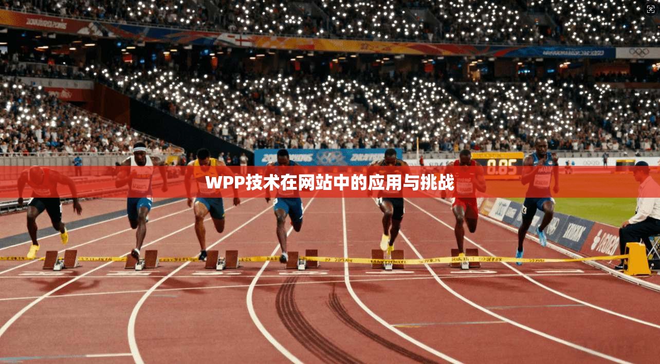 WPP技术在网站中的应用与挑战