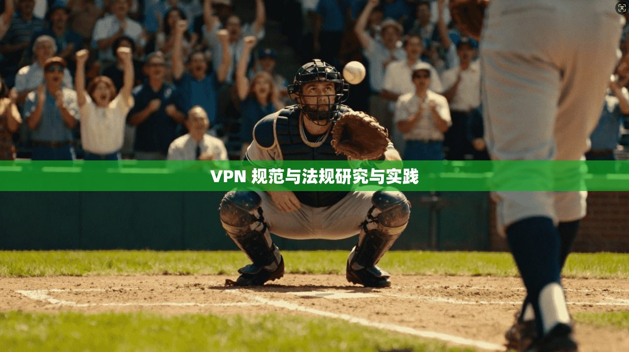 VPN 规范与法规研究与实践