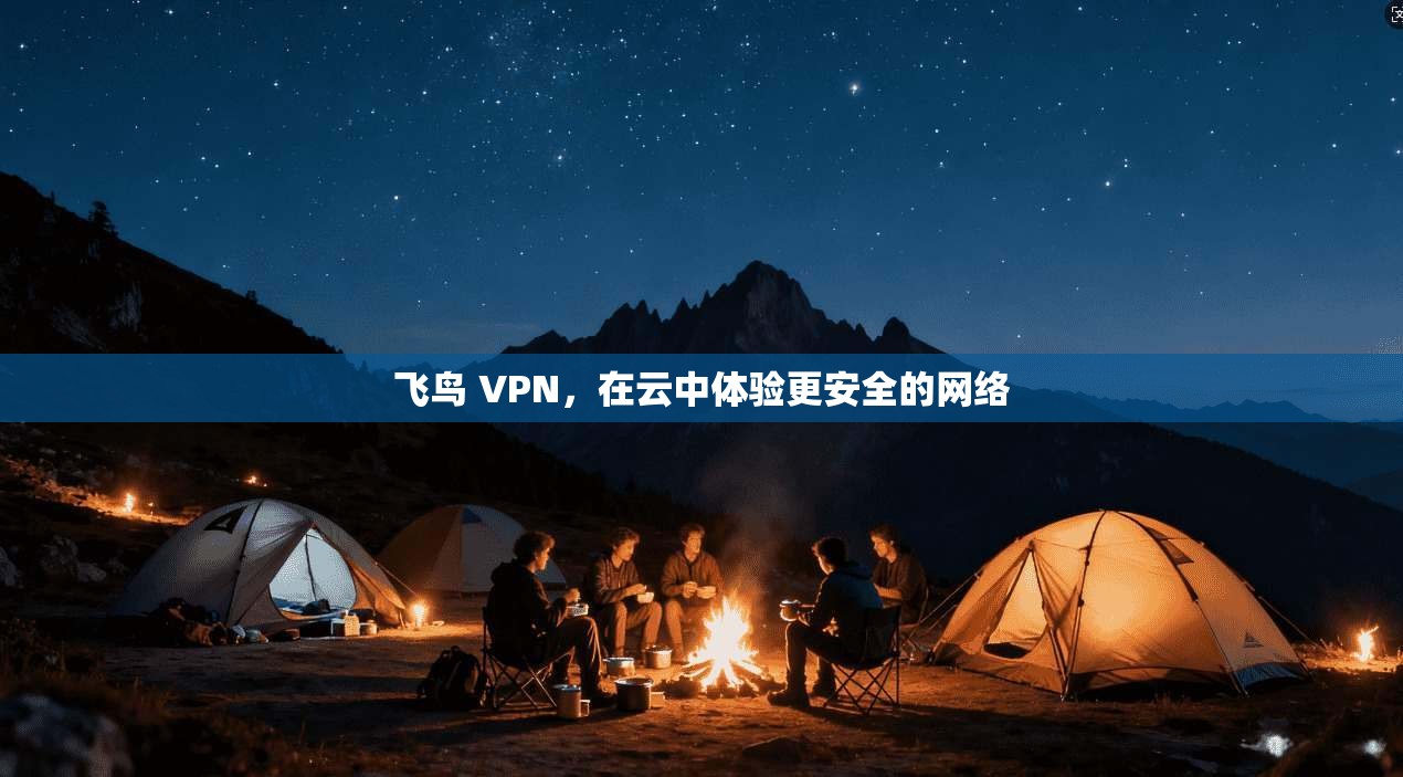 飞鸟 VPN，在云中体验更安全的网络
