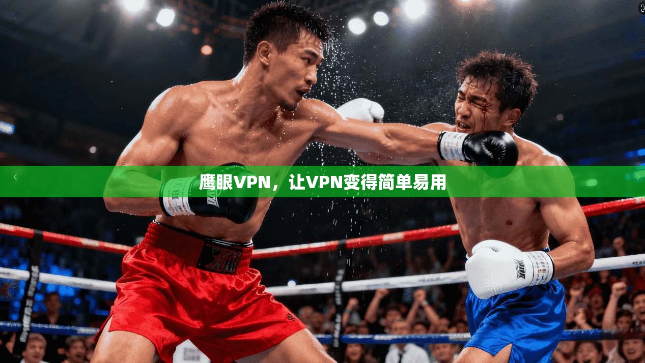 鹰眼VPN，让VPN变得简单易用