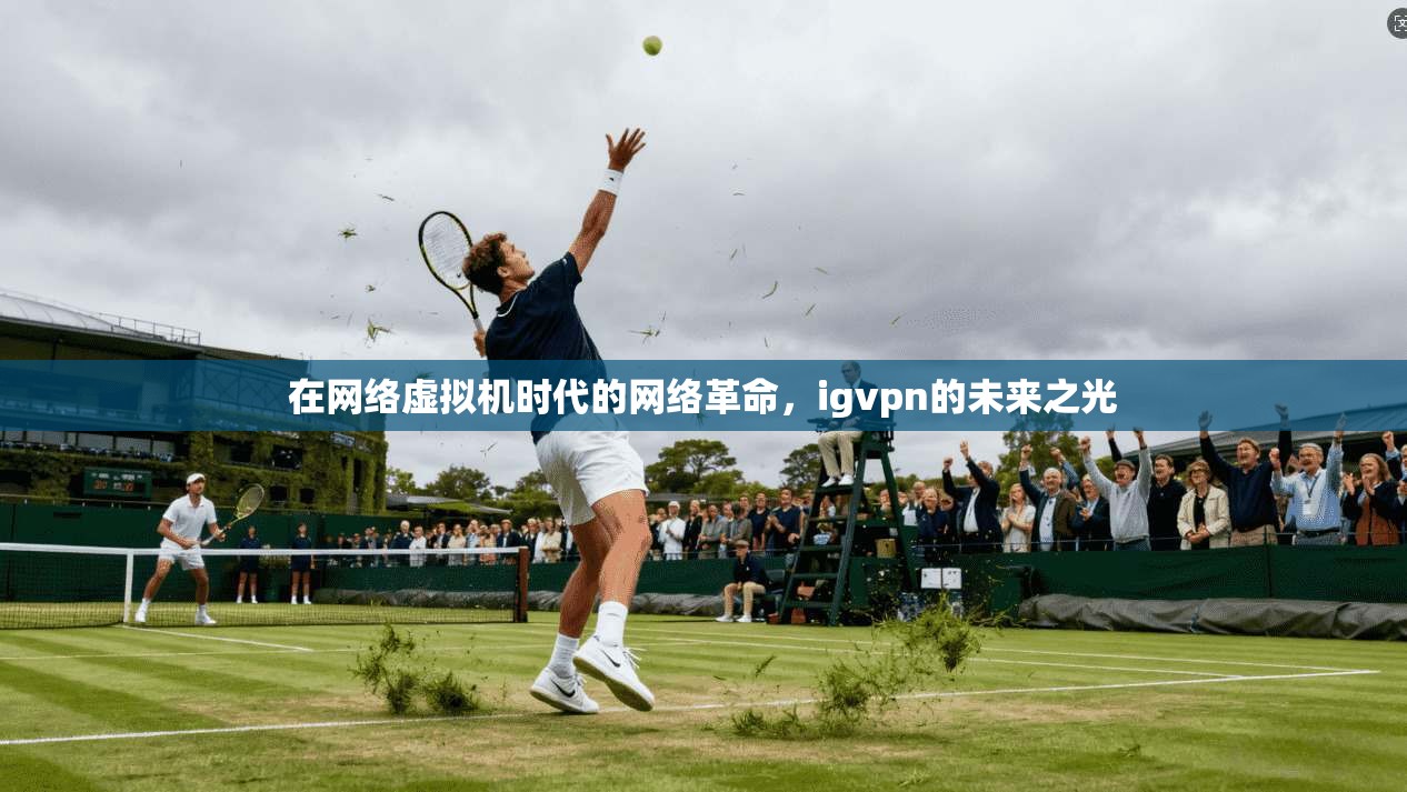 在网络虚拟机时代的网络革命,igvpn的未来之光