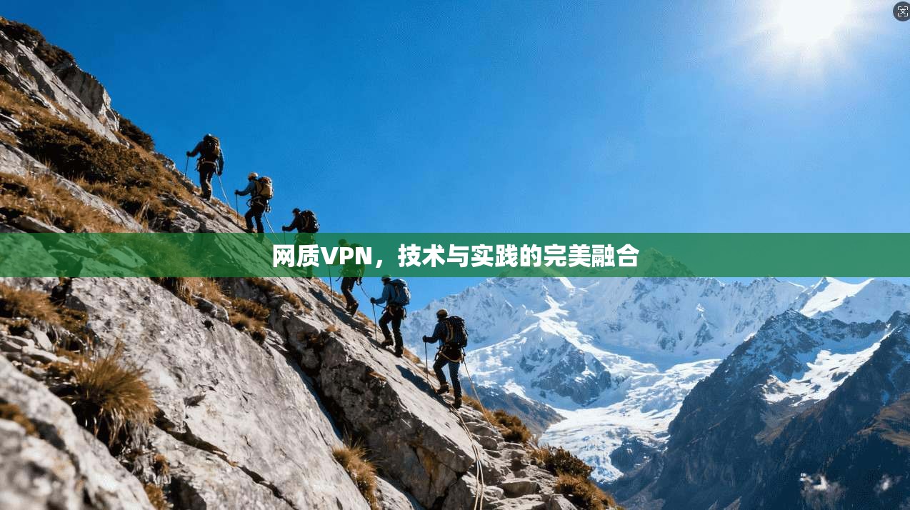 网质VPN，技术与实践的完美融合