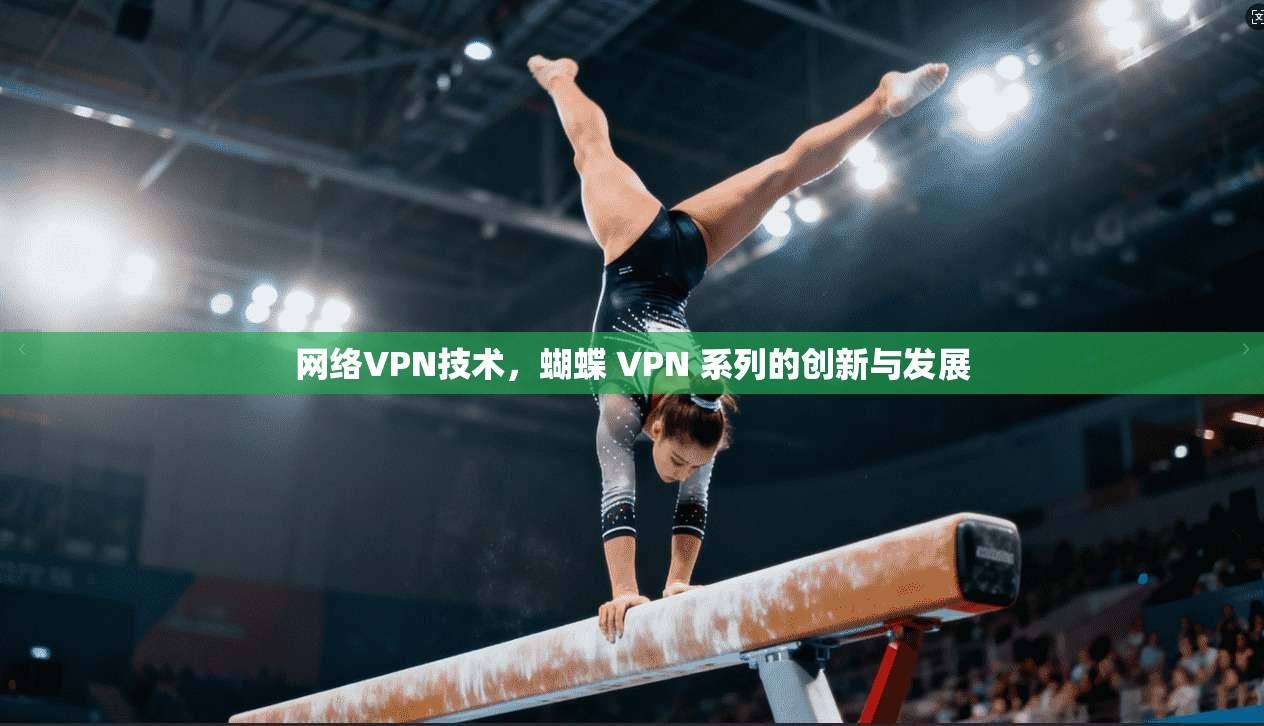 网络VPN技术，蝴蝶 VPN 系列的创新与发展
