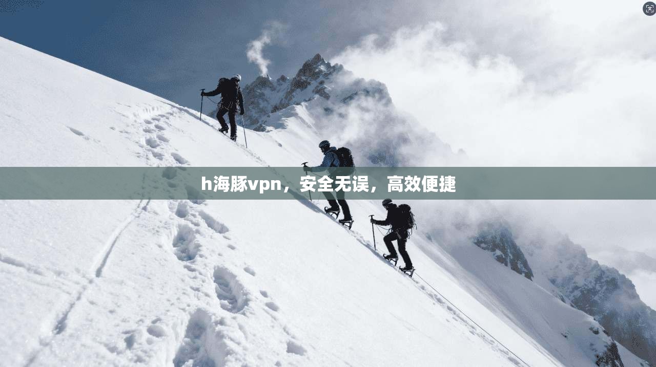 h海豚vpn，安全无误，高效便捷