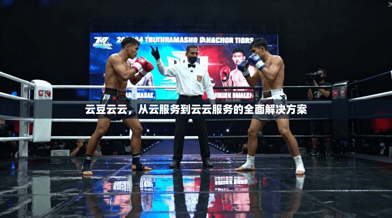 云豆云云,从云服务到云云服务的全面解决方案 云豆云云,从云服务到云云服务的全面解决方案