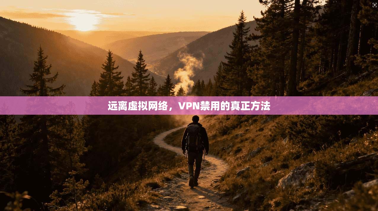 远离虚拟网络，VPN禁用的真正方法