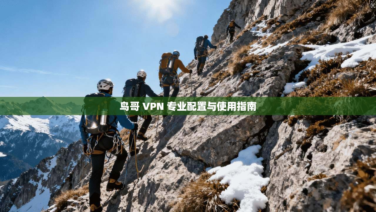 鸟哥 VPN 专业配置与使用指南