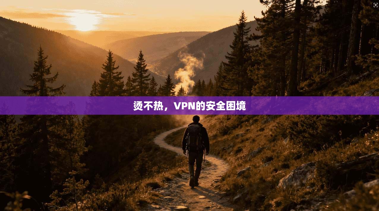 烫不热，VPN的安全困境