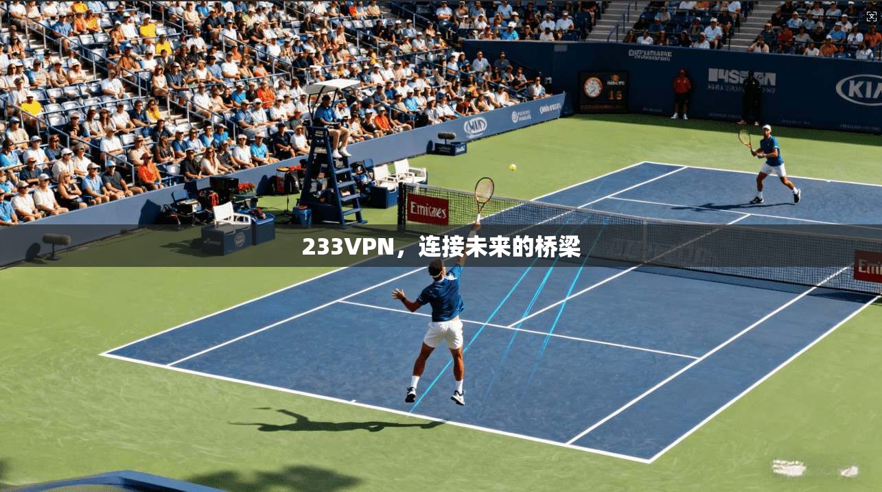 233VPN，连接未来的桥梁