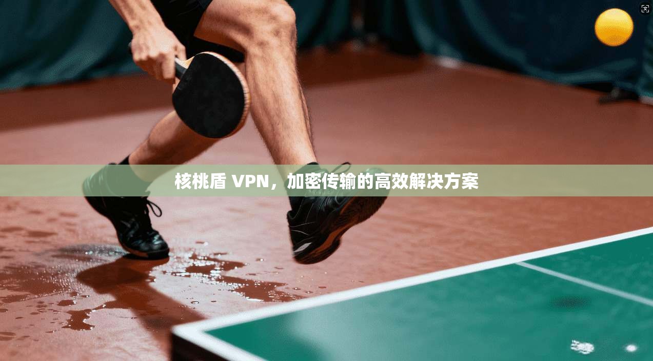 核桃盾 VPN，加密传输的高效解决方案