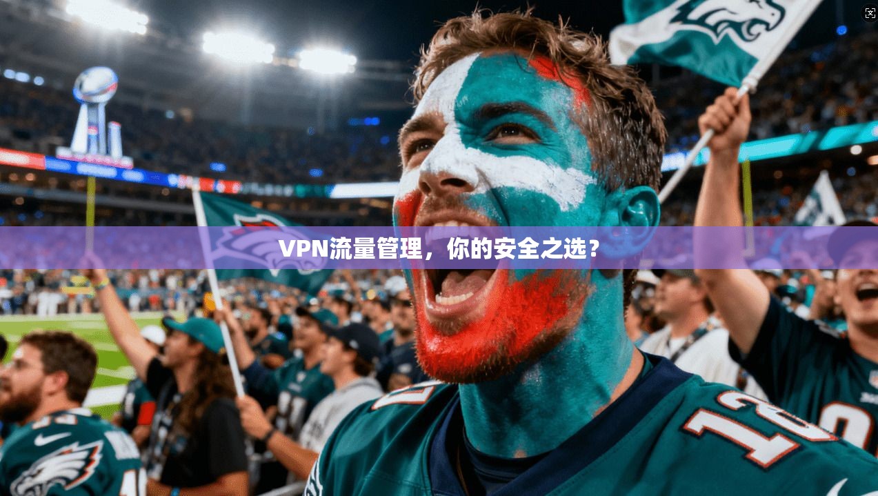 VPN流量管理，你的安全之选？
