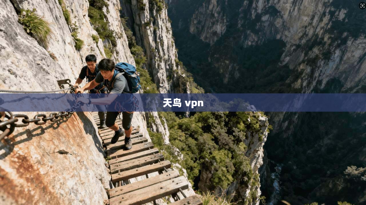 天鸟 vpn