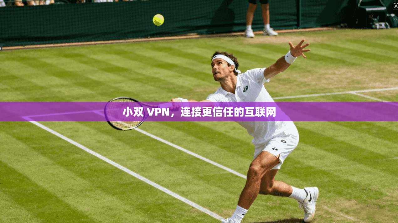 小双 VPN，连接更信任的互联网