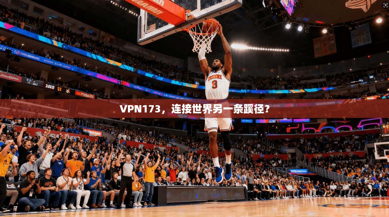 VPN173，连接世界另一条蹊径？