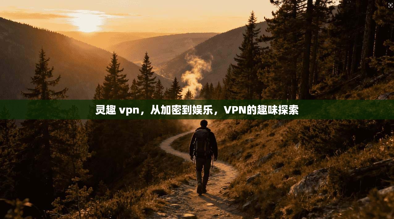 灵趣 vpn，从加密到娱乐，VPN的趣味探索