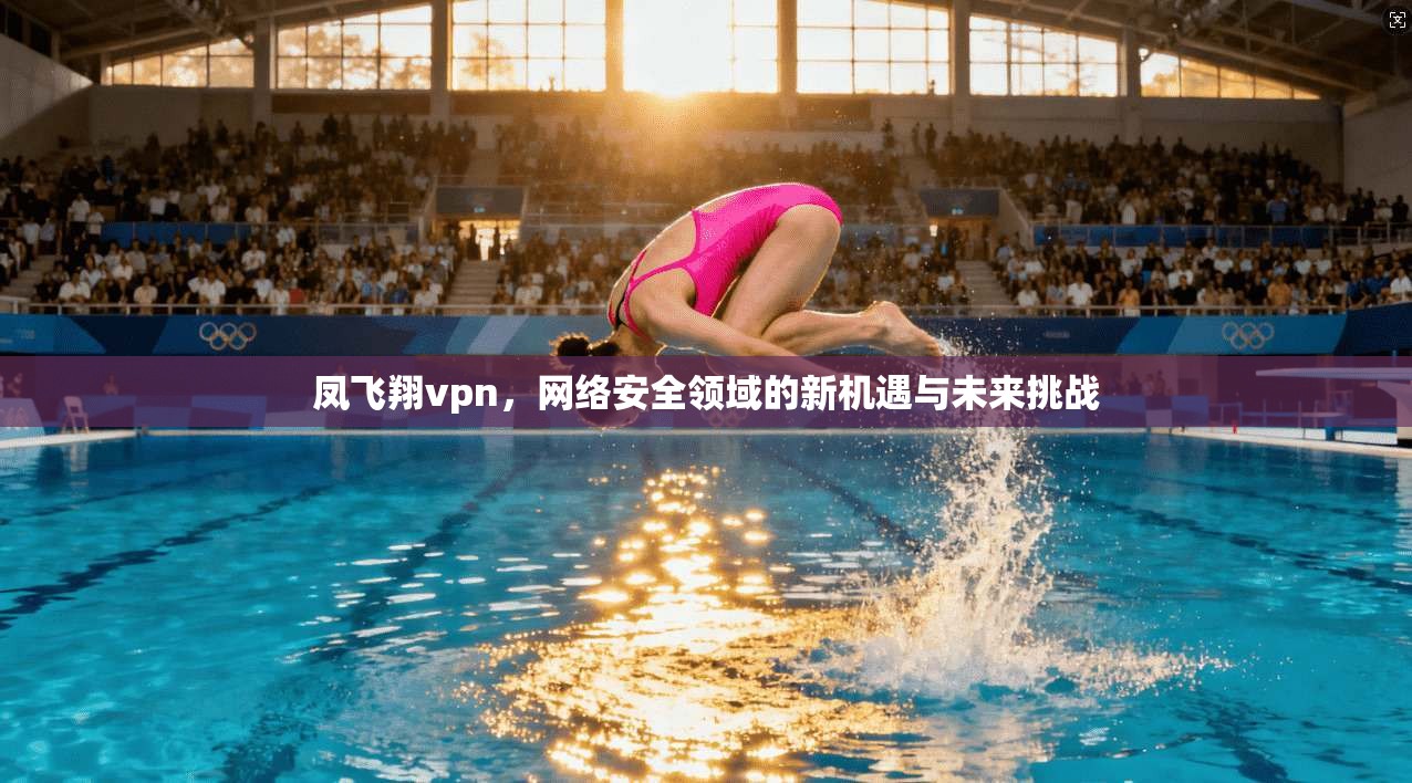 凤飞翔vpn，网络安全领域的新机遇与未来挑战