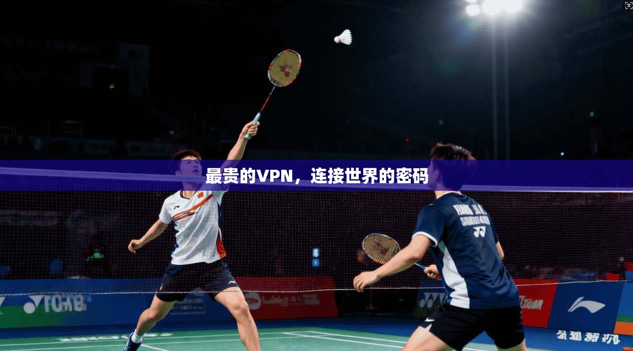 最贵的VPN，连接世界的密码